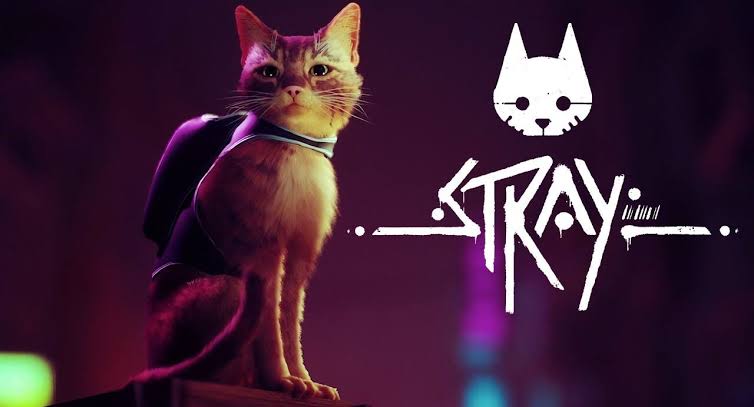 free download stray for pc